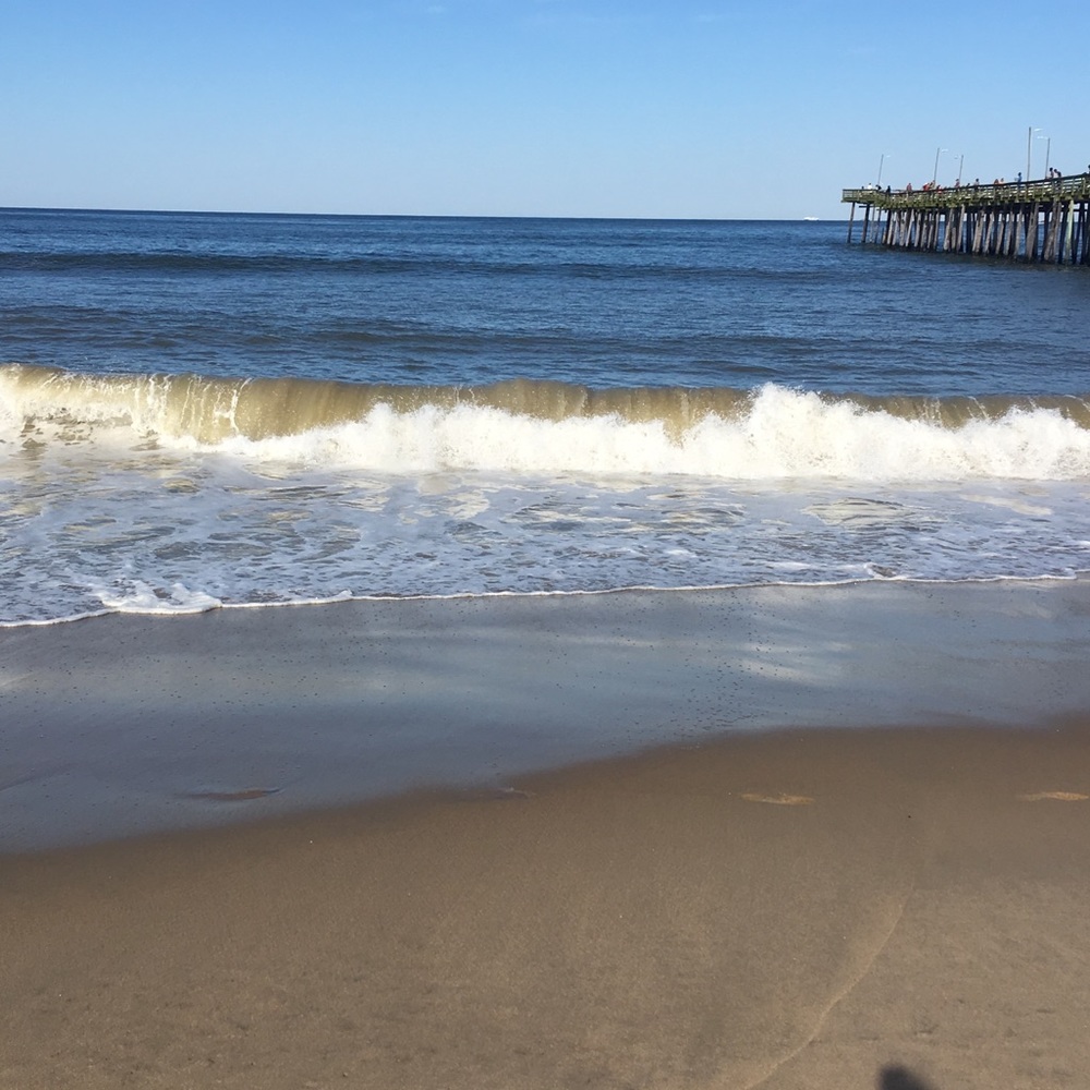 Meet your Posher, Laurie